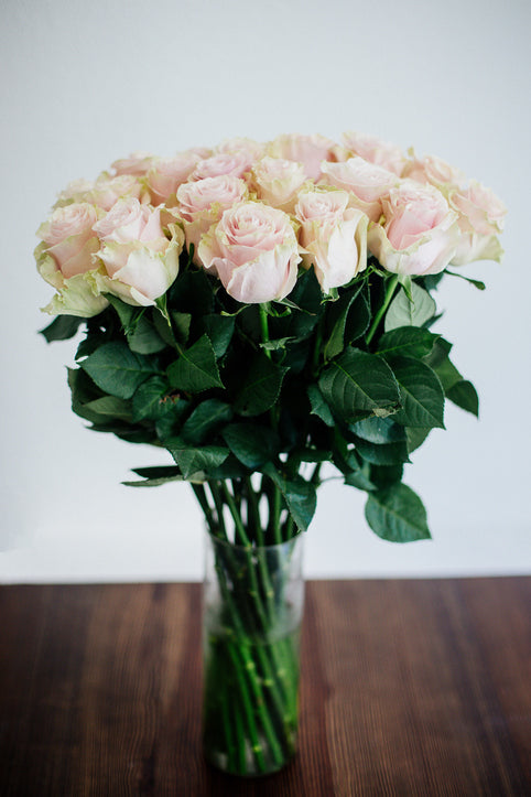 Rosenstrauß Pink Mondial – Premium aus Ecuador