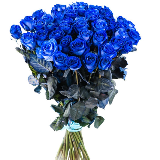 Rosen  "Ocean Blue"